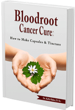 Bloodroot Cancer Cure